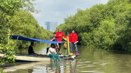 Mitigasi Abrasi, PAC PDI Perjuangan Bulak Gandeng Akademisi Susur Mangrove Pesisir Surabaya